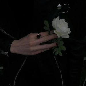 缅甸一级婬片A片金莲
